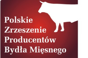 news cover 801